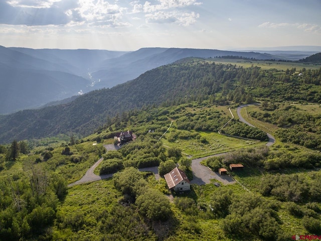 birds eye view of property featuring a mountain view