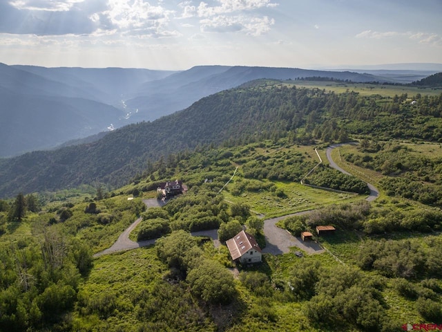 462 Dragon Lode Dr, Placerville, CO 81430 - view of mountain background featuring a heavily wooded area