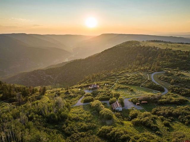 462 Dragon Lode Dr, Placerville, CO 81430 - view of mountain backdrop with a forest
