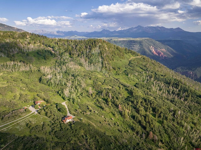 462 Dragon Lode Dr, Placerville, CO 81430 - mountain view featuring a heavily wooded area