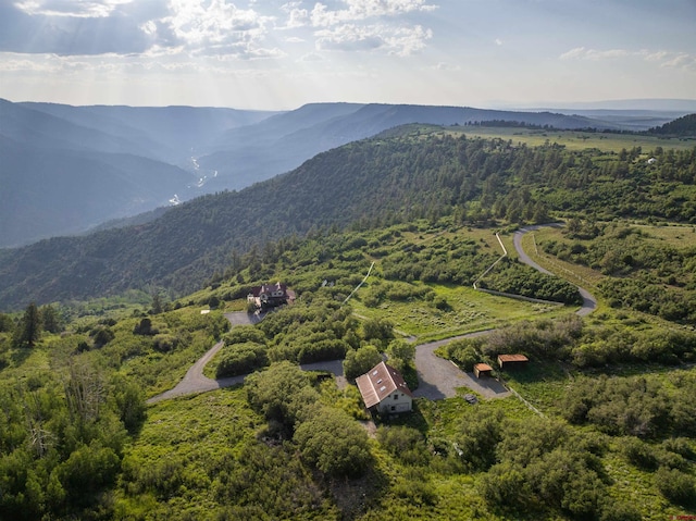 birds eye view of property featuring a mountain view