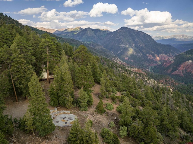 462 Dragon Lode Dr, Placerville, CO 81430 - mountain view featuring a forest