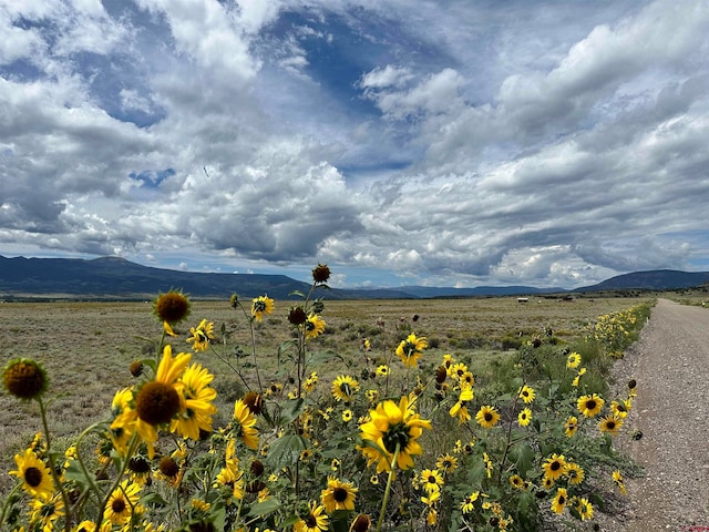 TBD County Road 71, Del Norte CO, 81132 land for sale