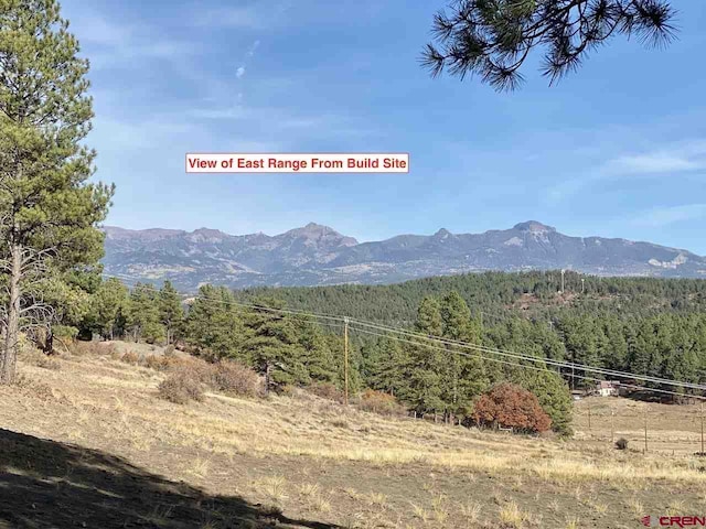 Listing photo 3 for X Great W Ave, Pagosa Springs CO 81147