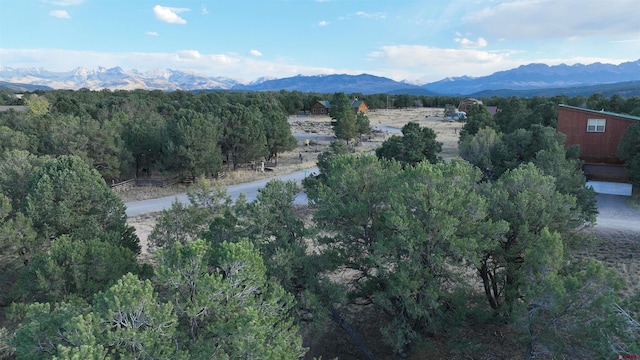 LOT1 Pinion Dr, Ridgway CO, 81432 land for sale