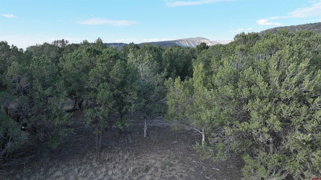 Listing photo 3 for LOT1 Pinion Dr, Ridgway CO 81432