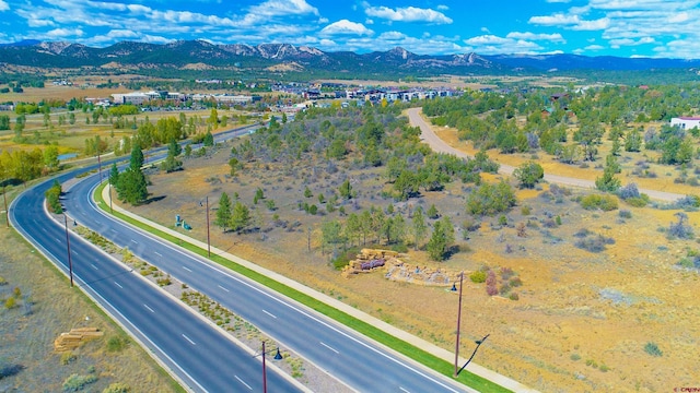 481 Oxbow Cir, Durango, CO 81301