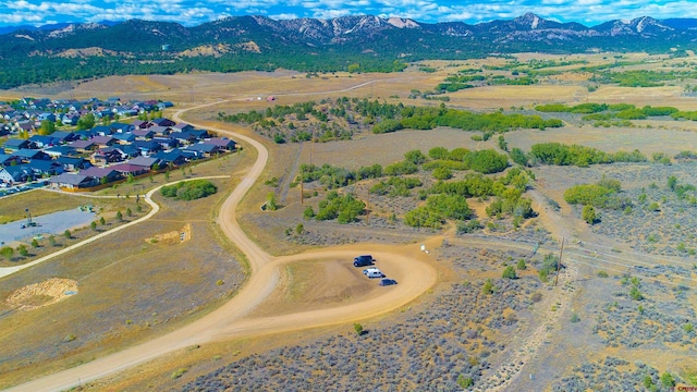 481 Oxbow Cir, Durango, CO 81301