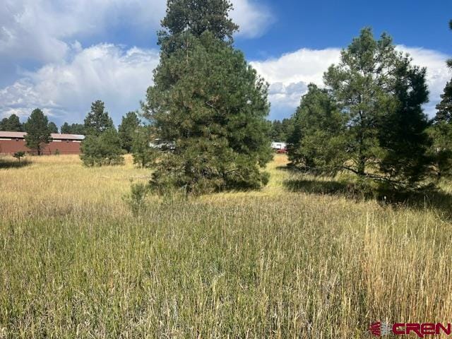 Listing photo 2 for 381 Navajo Trail Dr, Pagosa Springs CO 81147