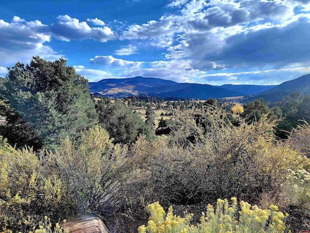 3075 Bear Creek Cir, South Fork CO, 81154 land for sale