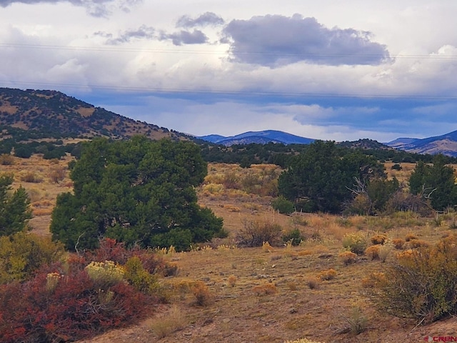 153 E Pfieffer Loop, South Fork CO, 81154 land for sale