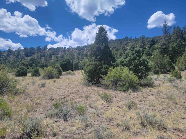 1287 Bear Creek Cir, South Fork CO, 81154 land for sale