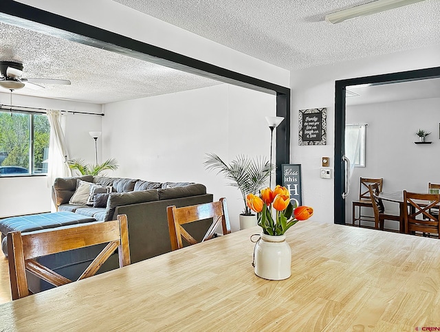 dining space with ceiling fan, wood-type flooring, and a textured ceiling