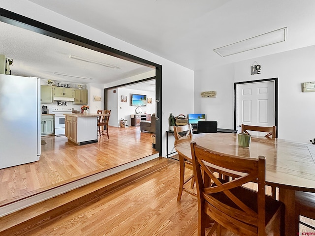 dining area with light hardwood / wood-style flooring