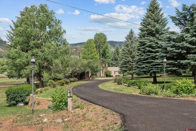 view of home's community featuring a mountain view