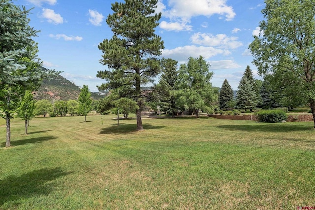 view of yard featuring a mountain view