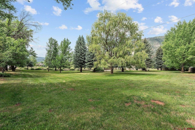 view of yard with a mountain view