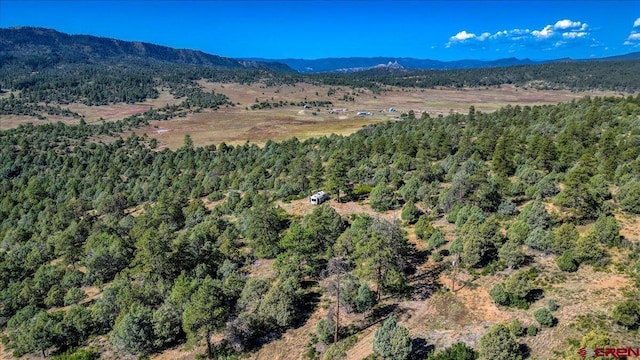 Listing photo 2 for 5600C County Road 700, Pagosa Springs CO 81147