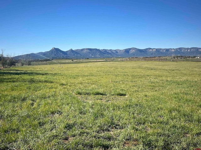 TBD Road N.2, Mancos CO, 81328 land for sale