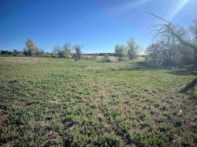 Listing photo 2 for TBD Road N.2, Mancos CO 81328