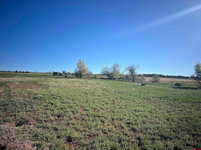 Listing photo 3 for TBD Road N.2, Mancos CO 81328