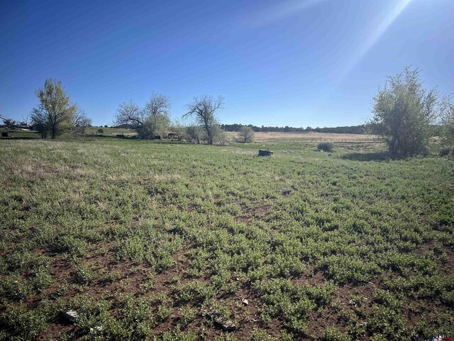 TBD Road N.2, Mancos, CO 81328