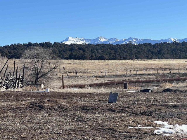 TBD Road N.2, Mancos, CO 81328