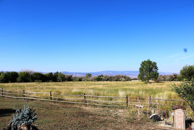 view of yard with a mountain view and a rural view