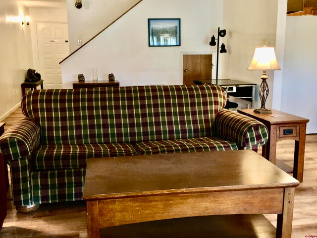 living room featuring hardwood / wood-style floors