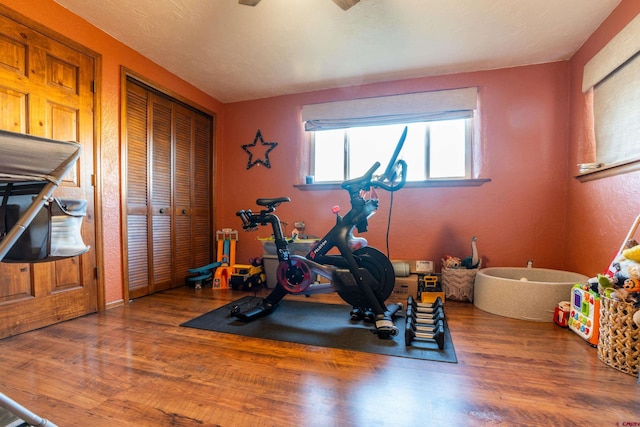 workout room featuring wood-type flooring