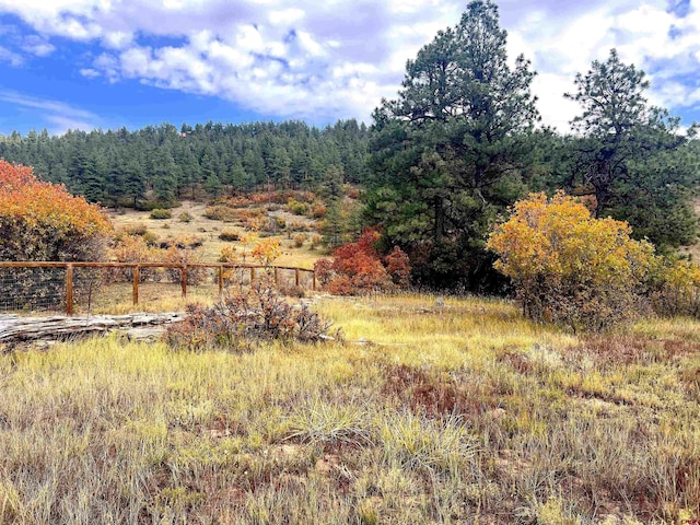 109 Mockingbird Pl, Pagosa Springs, CO 81147
