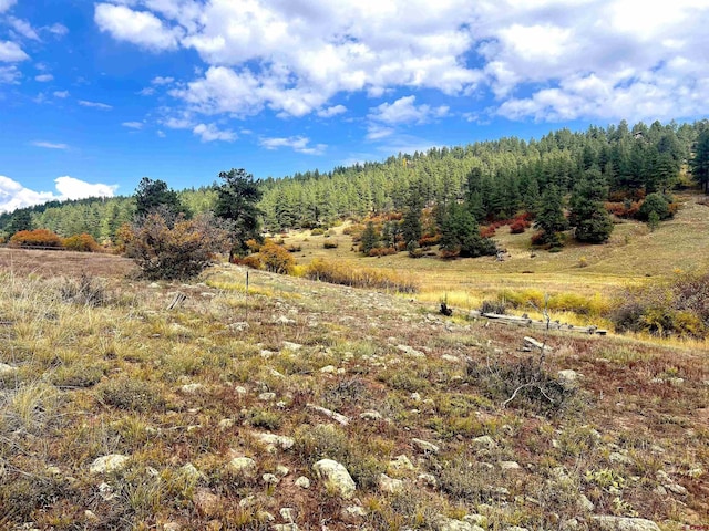 109 Mockingbird Pl, Pagosa Springs, CO 81147