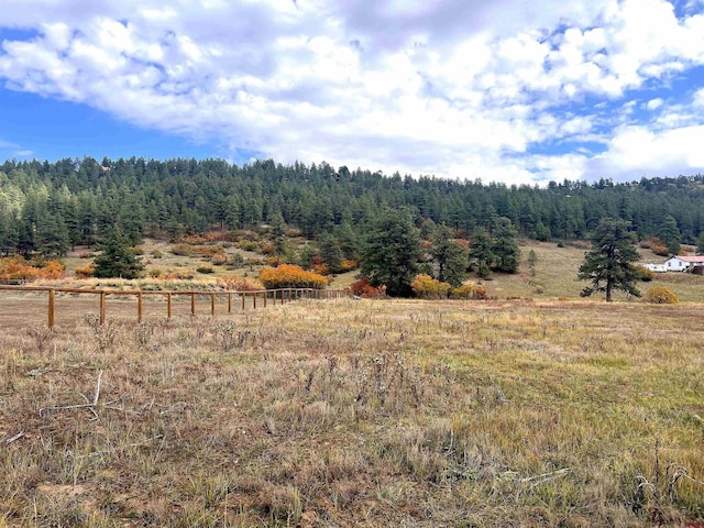 109 Mockingbird Pl, Pagosa Springs, CO 81147