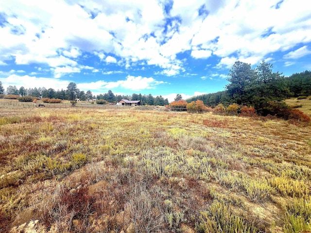 109 Mockingbird Pl, Pagosa Springs, CO 81147