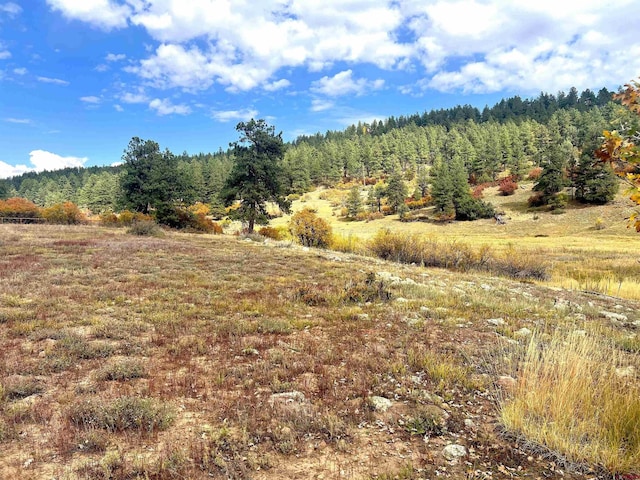 109 Mockingbird Pl, Pagosa Springs, CO 81147