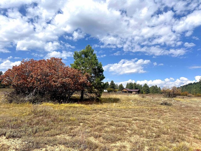 109 Mockingbird Pl, Pagosa Springs, CO 81147