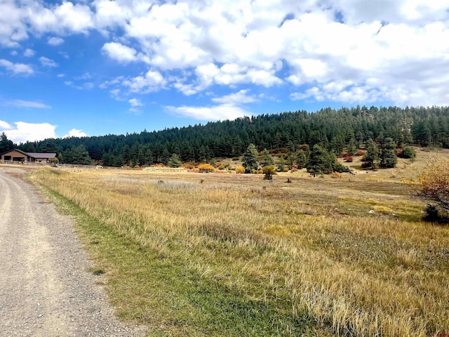 109 Mockingbird Pl, Pagosa Springs, CO 81147