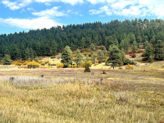 109 Mockingbird Pl, Pagosa Springs, CO 81147
