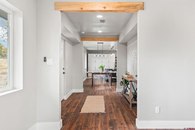 hallway featuring a wealth of natural light, beam ceiling, and dark hardwood / wood-style flooring