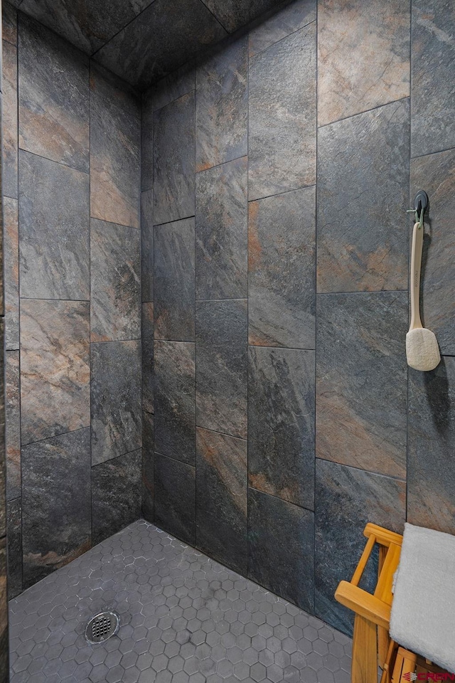 interior details with tiled shower