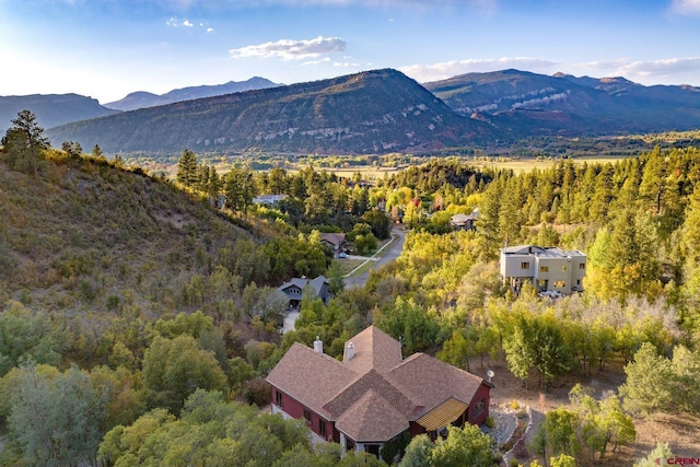 2239 Mockingbird Valley Ct, Durango, CO 81301 - view of subject property with a mountain backdrop and a forest