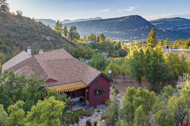2239 Mockingbird Valley Ct, Durango, CO 81301 - view of mountain background