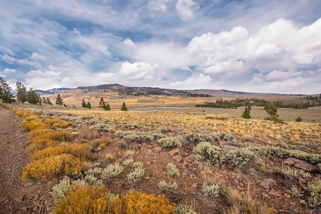 663 Castle Cir, Powderhorn CO, 81243 land for sale