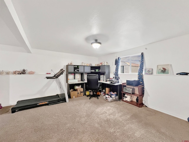 office featuring carpet flooring