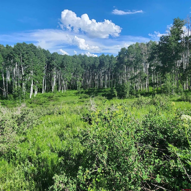 TBD Zs Road, Whitewater, CO 81527