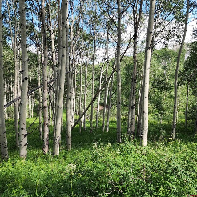 TBD Zs Road, Whitewater, CO 81527