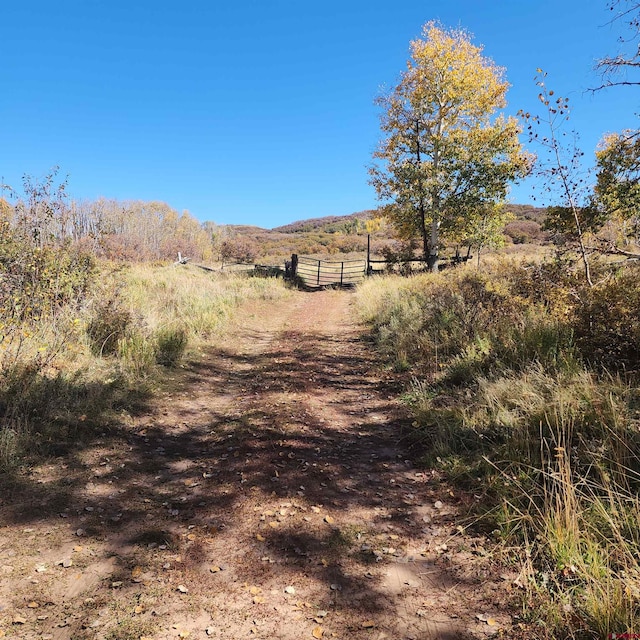 TBD Zs Road, Whitewater, CO 81527