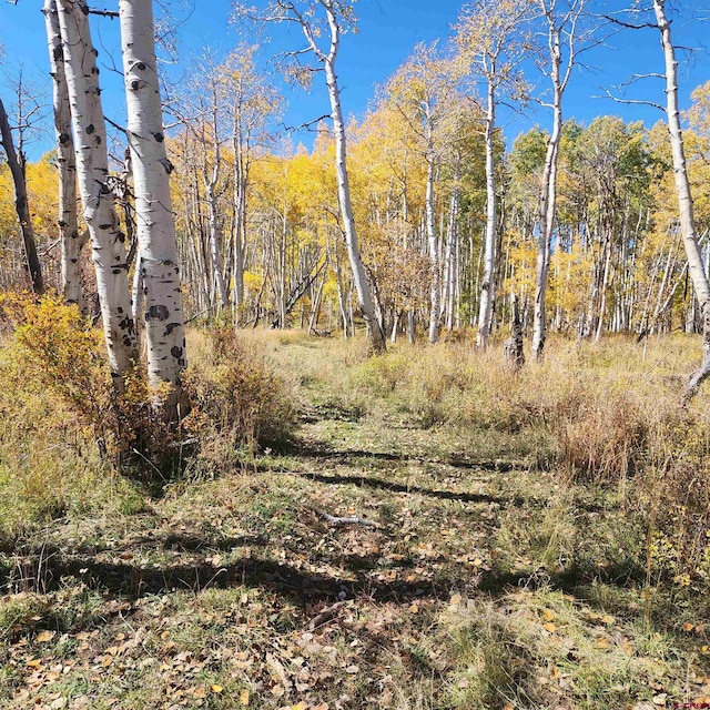 TBD Zs Road, Whitewater, CO 81527