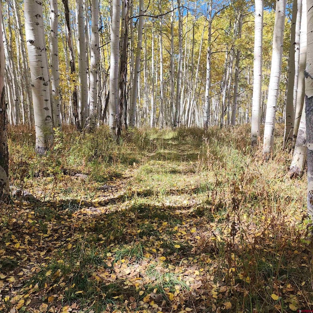 TBD Zs Road, Whitewater, CO 81527