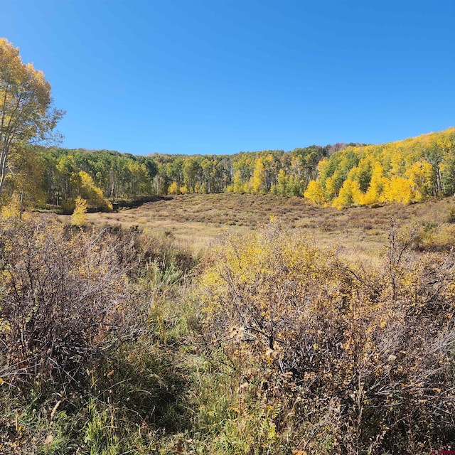 TBD Zs Road, Whitewater, CO 81527